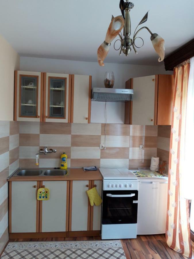 Studio Apartman Centar Ogulin Exterior foto