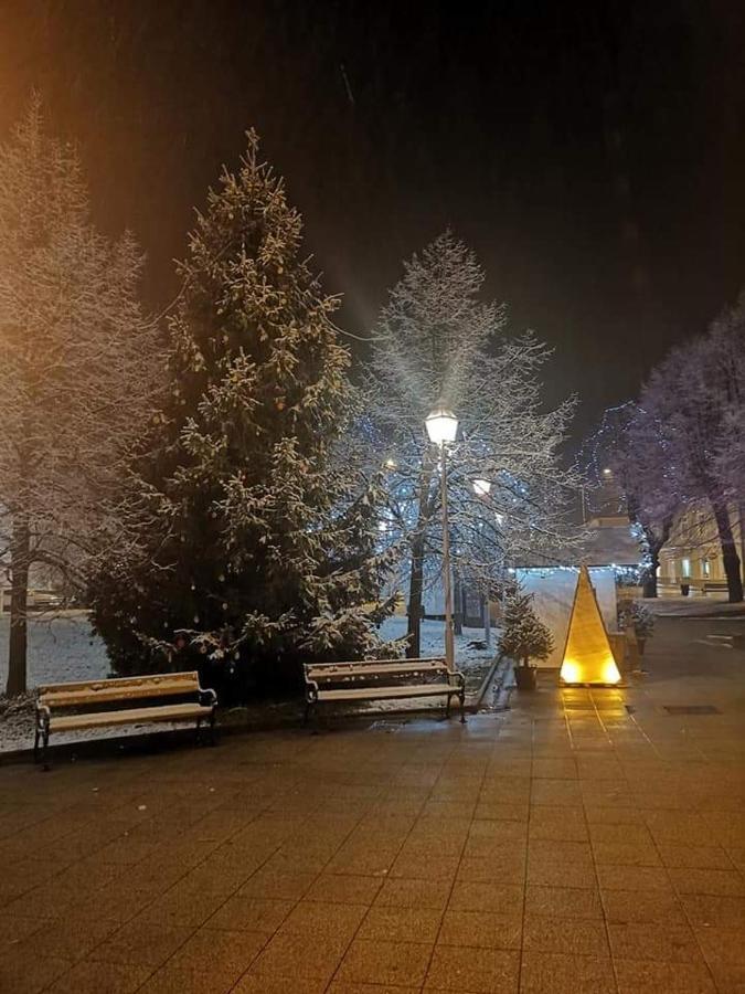 Studio Apartman Centar Ogulin Exterior foto